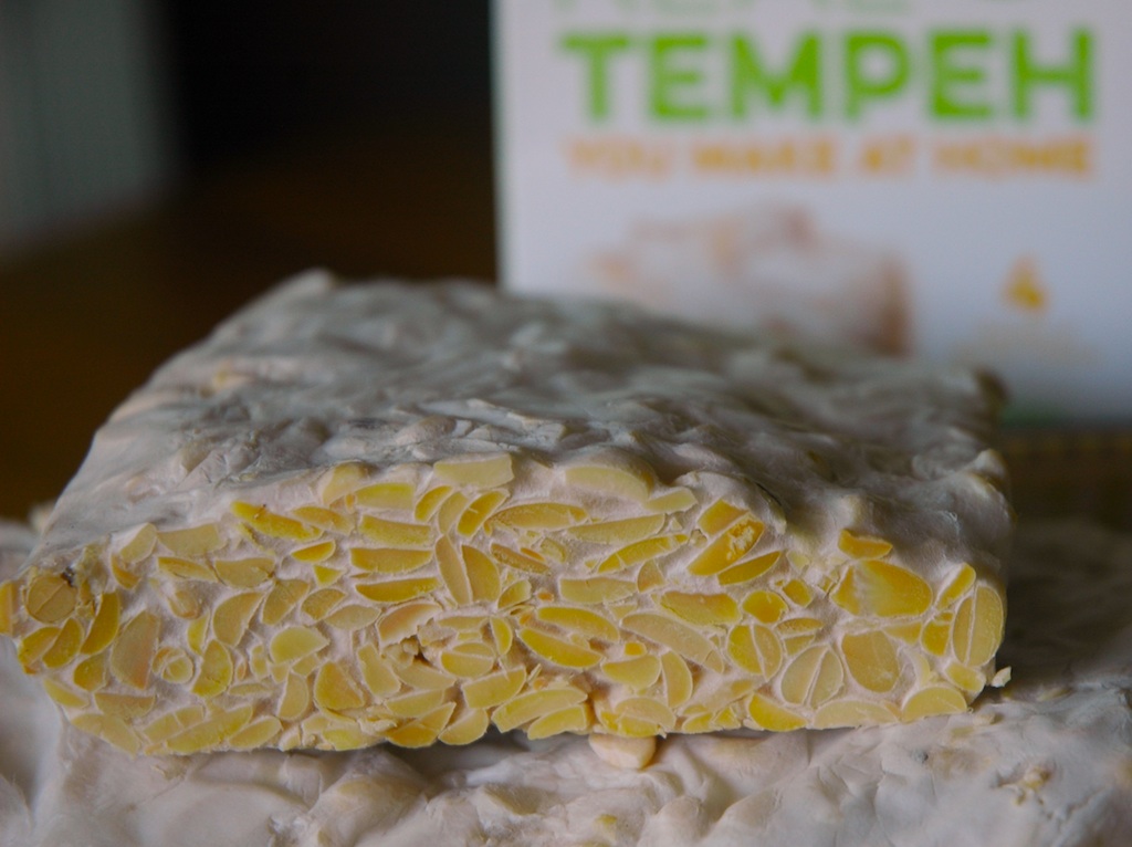 Homemade Tempeh