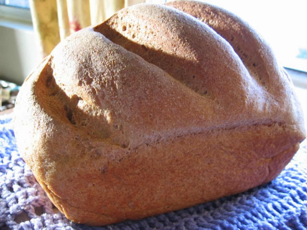 Malted Whole Wheat Bread