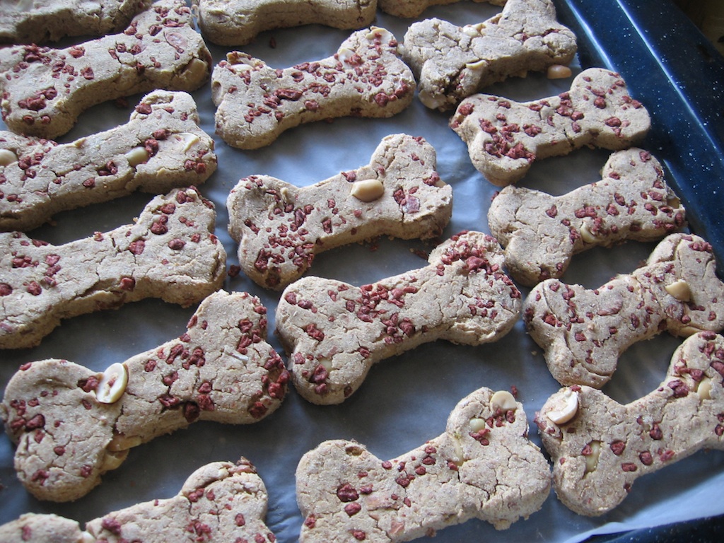 Peanut Coconut Dog Biscuits